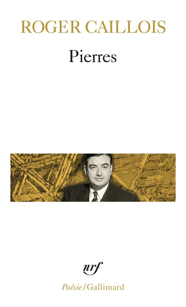 Pierres : suivi d'autres textes