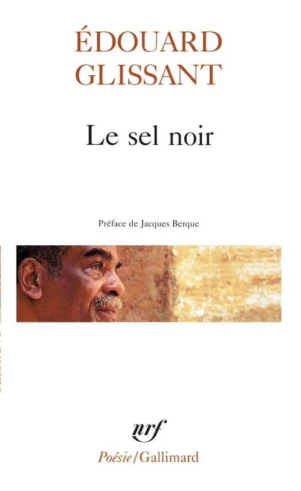 Le Sel noir ; Le Sang rivé ; Boises