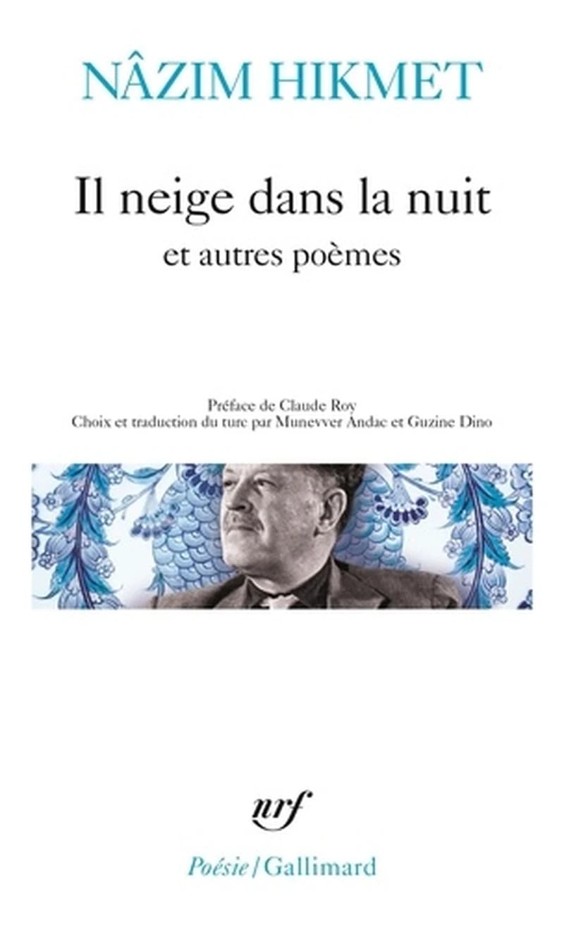 Il neige dans la nuit : et autres poèmes