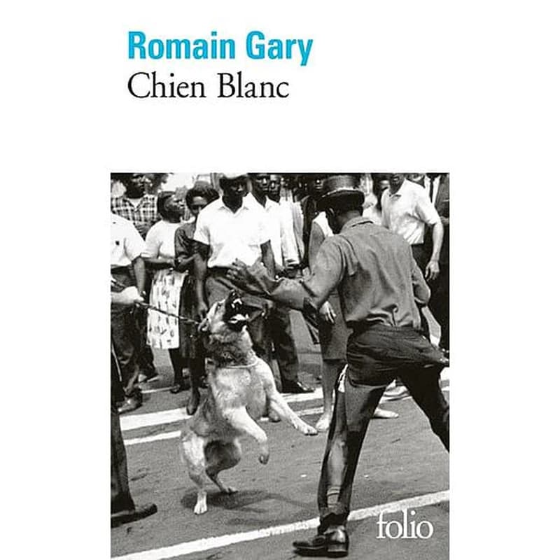Chien blanc