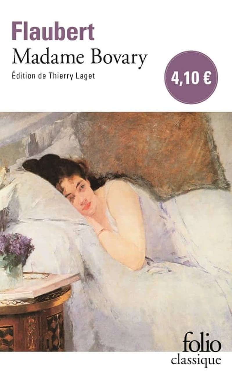 Madame Bovary : moeurs de province