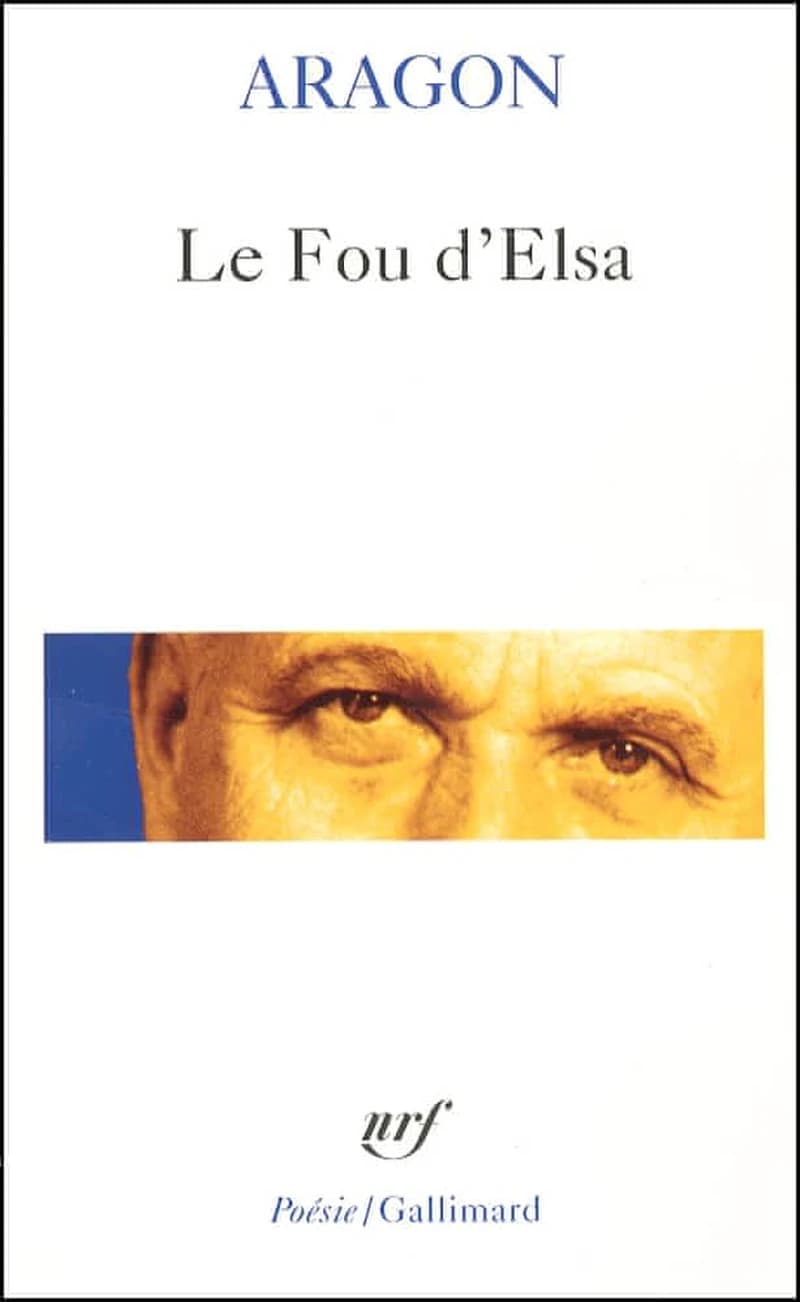 Le fou d'Elsa