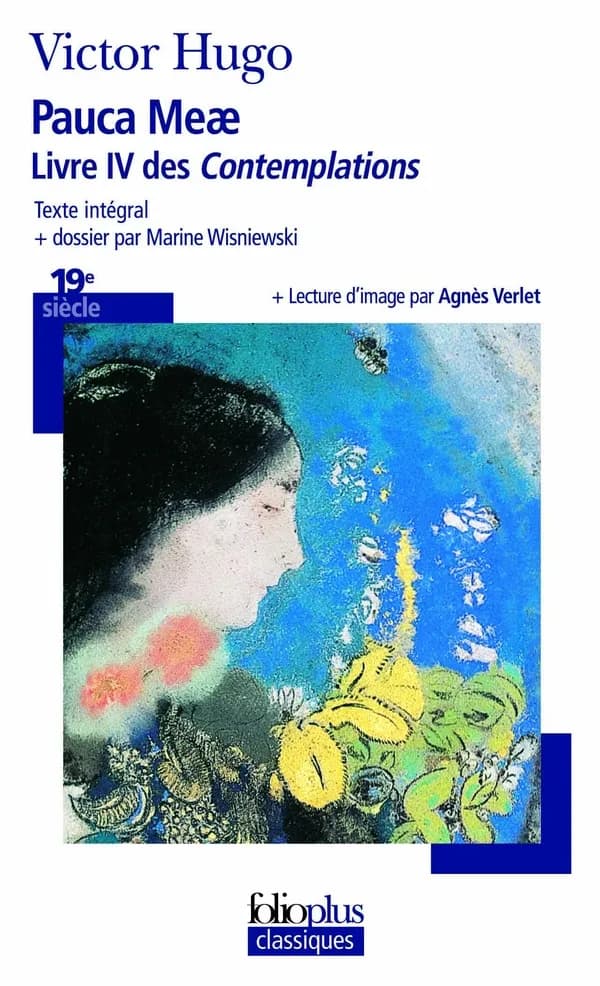 Pauca meae : livre IV des "Contemplations"
