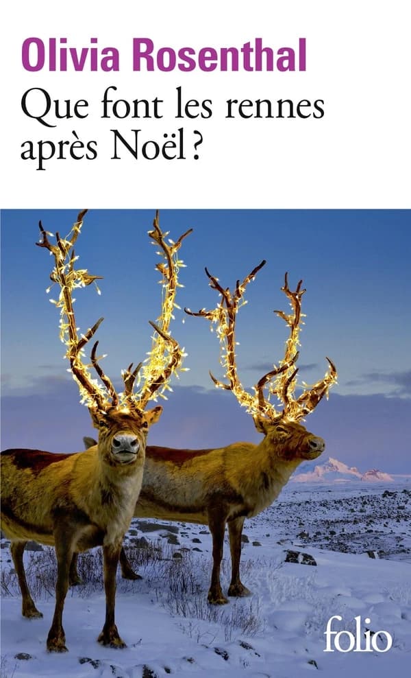 Que Font Les Rennes Apres Noel? (French Edition)