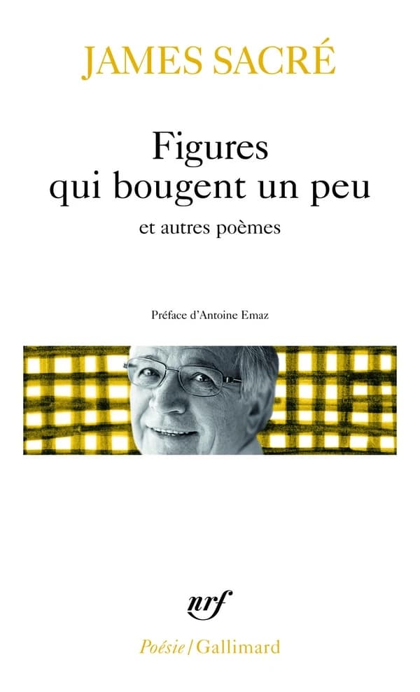 Figures qui bougent un peu ; et Quelque chose de mal raconté ; suivi de Une petite fille silencieuse