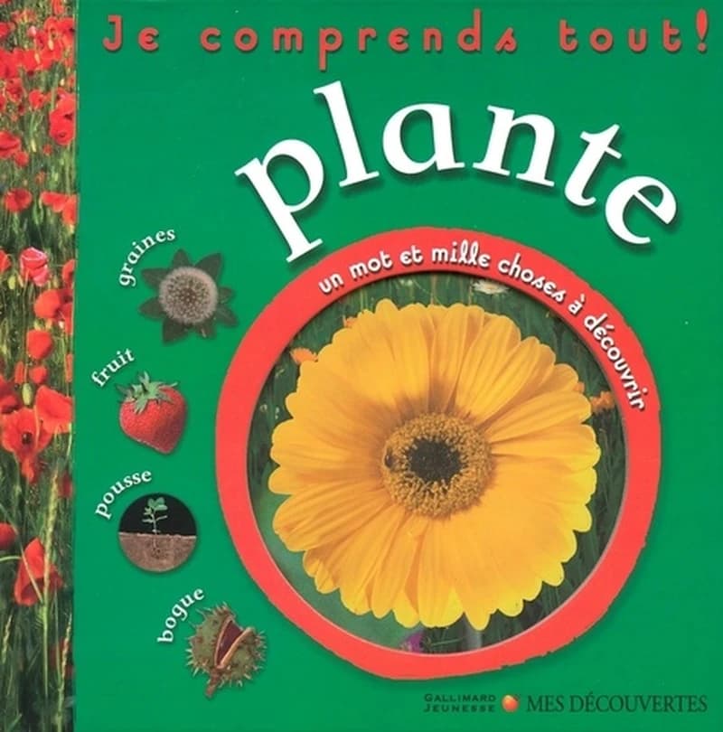 Plante : graines, fruit, pousse, bogue