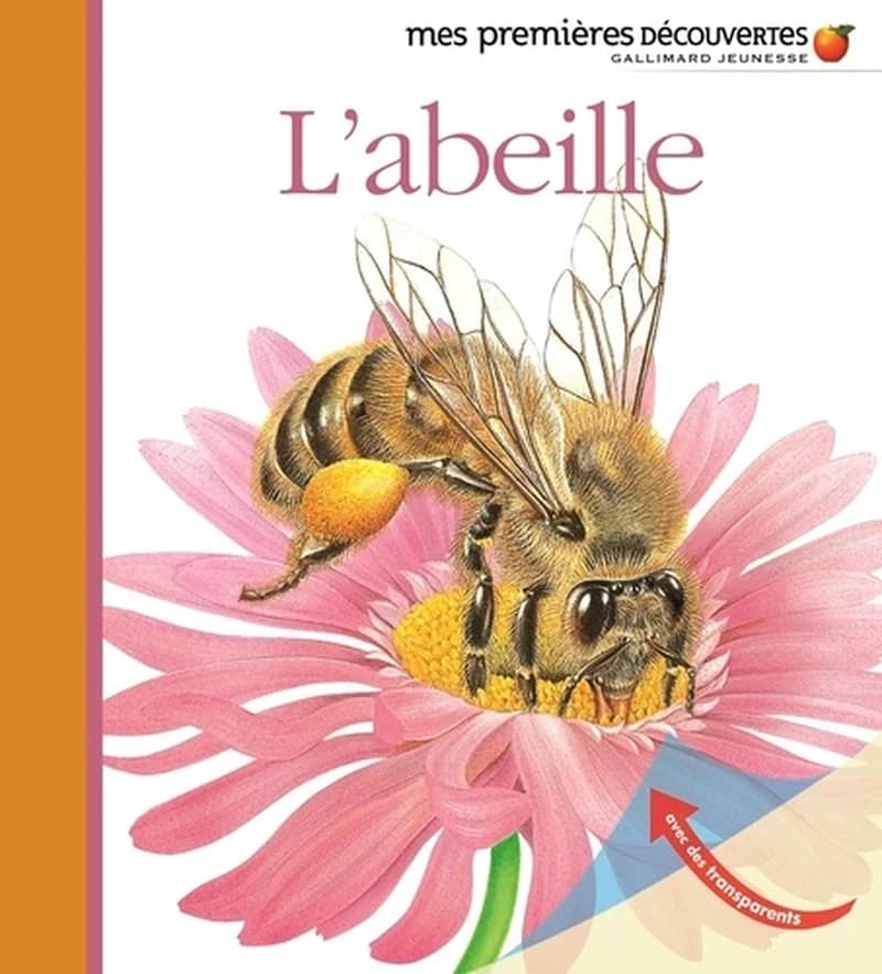 L'abeille (Nouv. présentation) illustrations de Ute Fuhr, Raoul Sautai