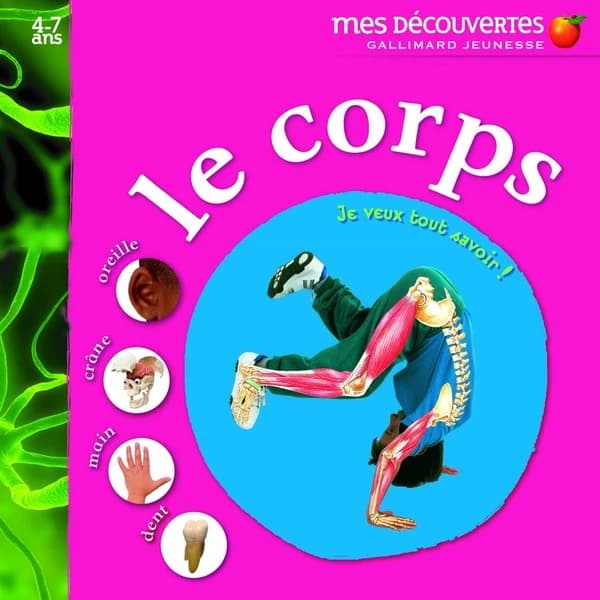 Le corps : oreille, crâne, main, dent
