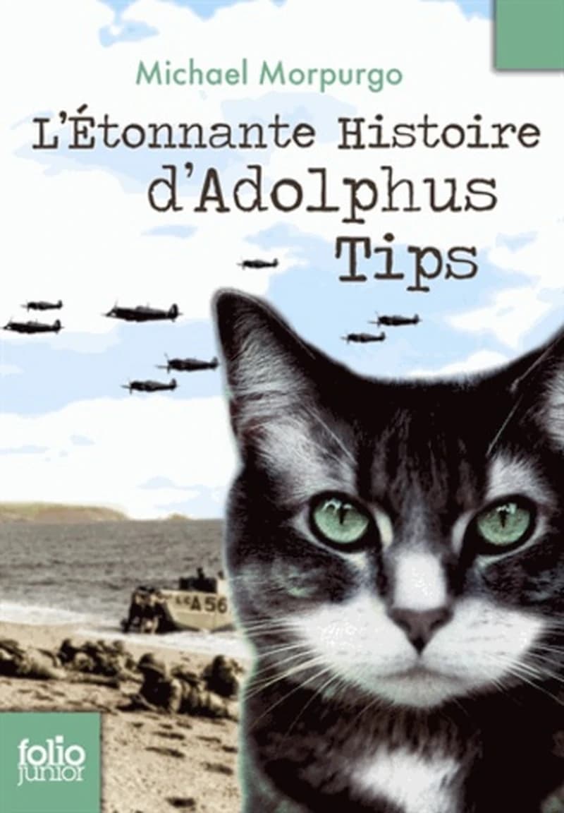 L'étonnante histoire d'Adolphus Tips (Nouv. présentation) Michael Morpurgo ; illustrations de Michael Foreman ; traduit de l'anglais par Diane Ménard