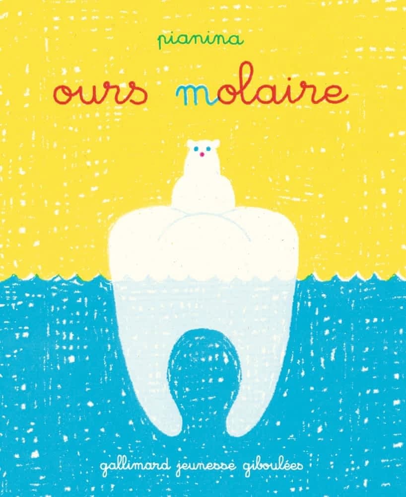 Ours molaire