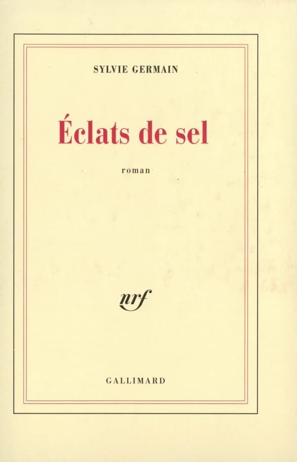 Éclats de sel : roman