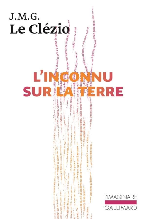 L'Inconnu sur la Terre