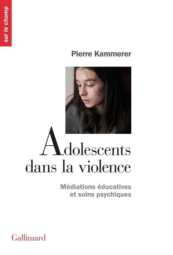 Adolescents dans la violence : médiations éducatives et soins psychiques