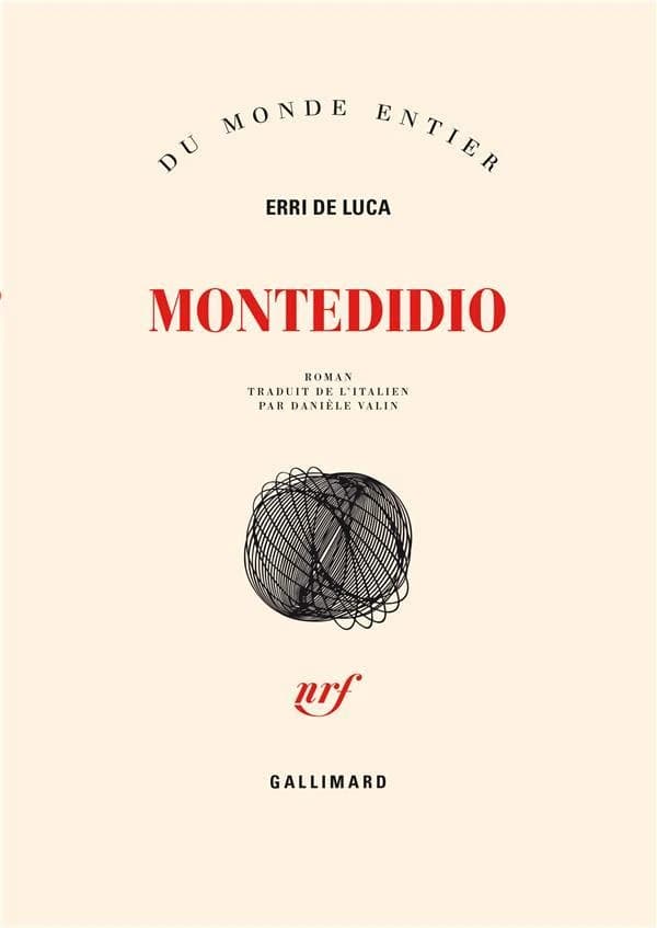 Montedidio : roman