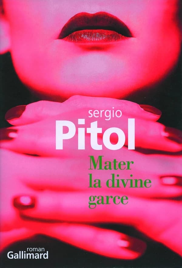 Mater la divine garce : roman