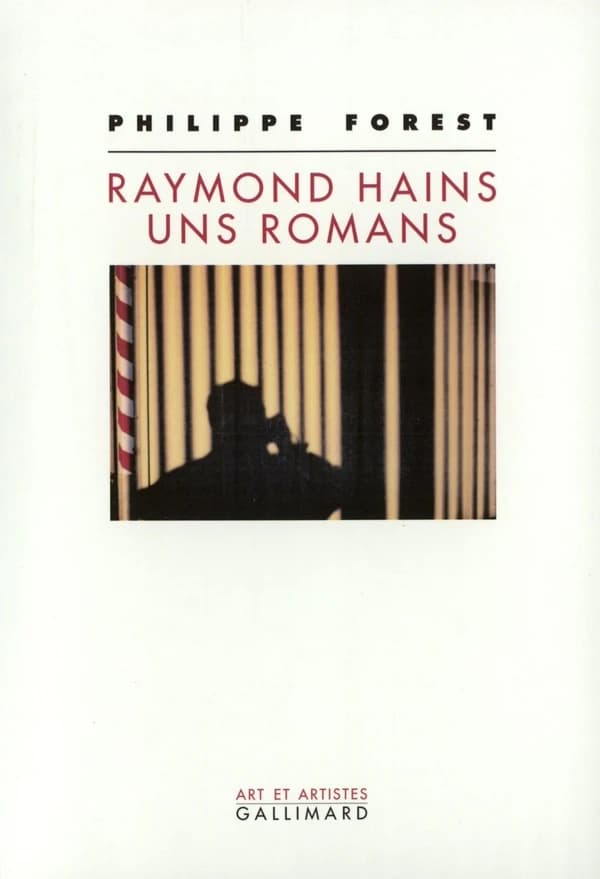 Raymond Hains, uns romans