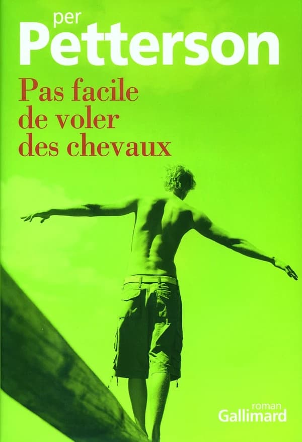 Pas facile de voler des chevaux : roman