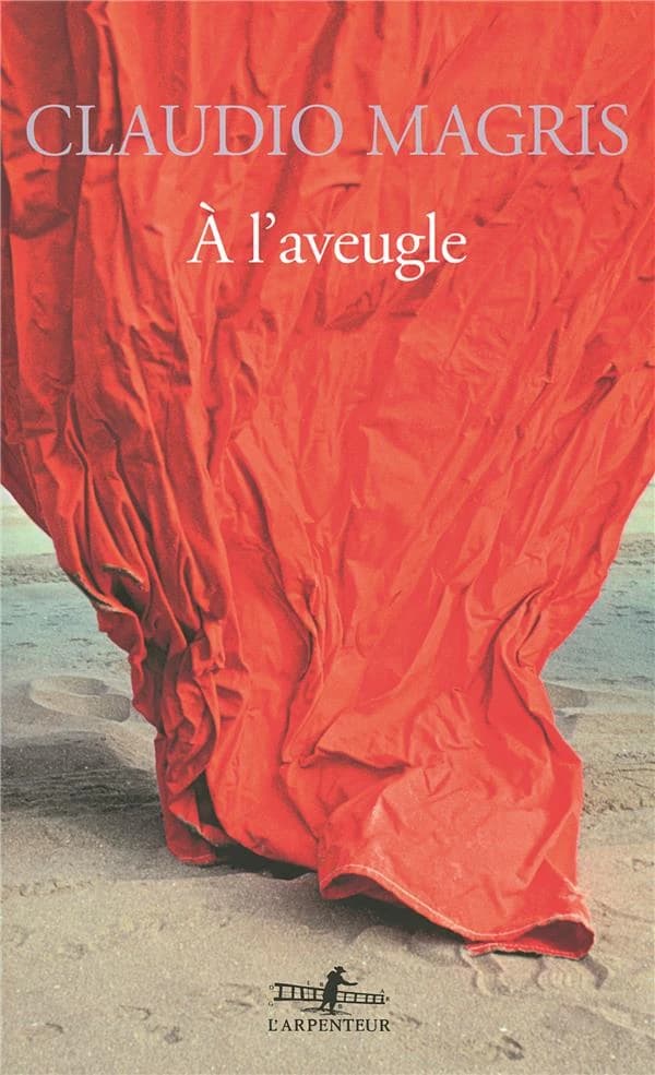 À l'aveugle : roman