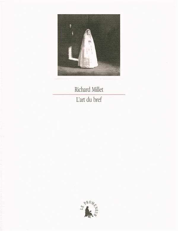 L'art du bref : récit