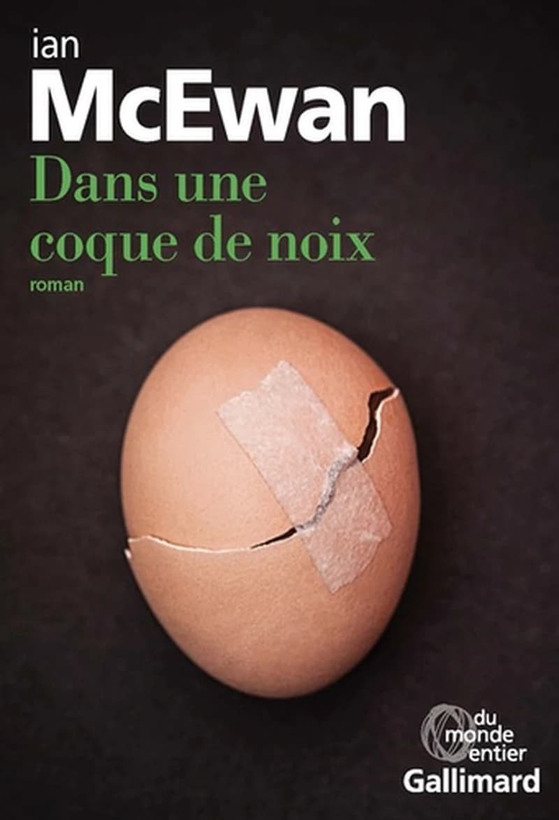 Dans une coque de noix : roman