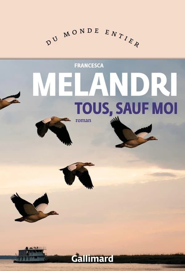 Tous, sauf moi : roman