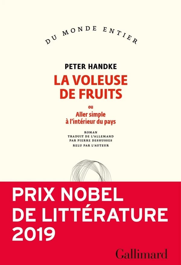 La voleuse de fruits ou Aller simple à l'intérieur du pays : roman