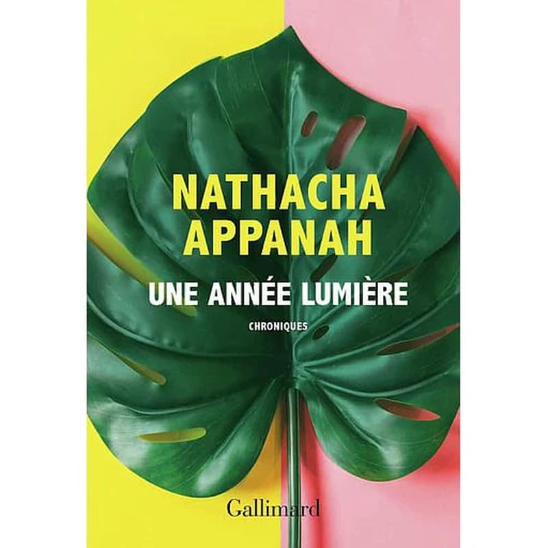 Une année lumière - Chroniques