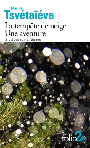La tempête de neige : Une aventure
