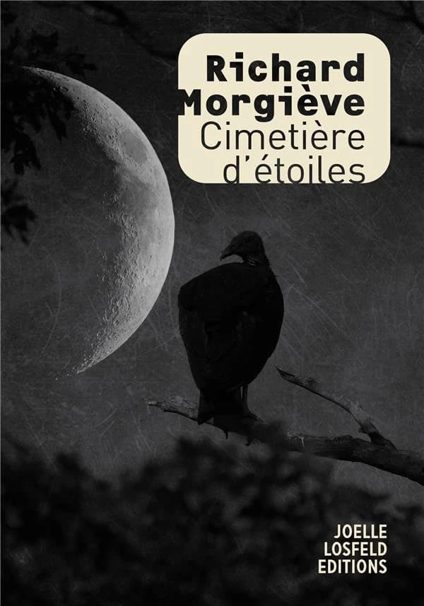 Cimetière d'étoiles : roman