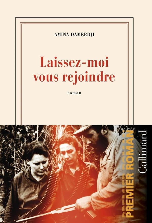Laissez-moi vous rejoindre : roman