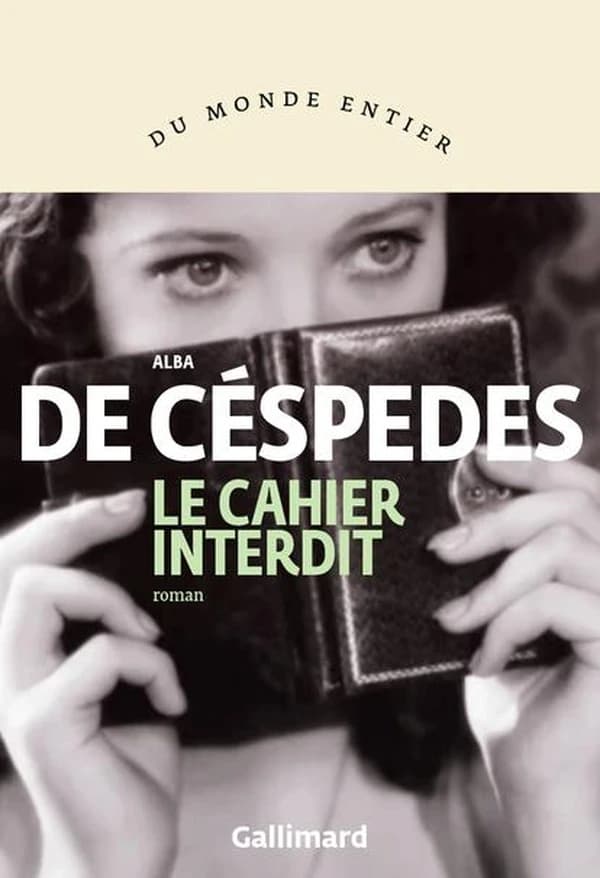 Le cahier interdit : roman