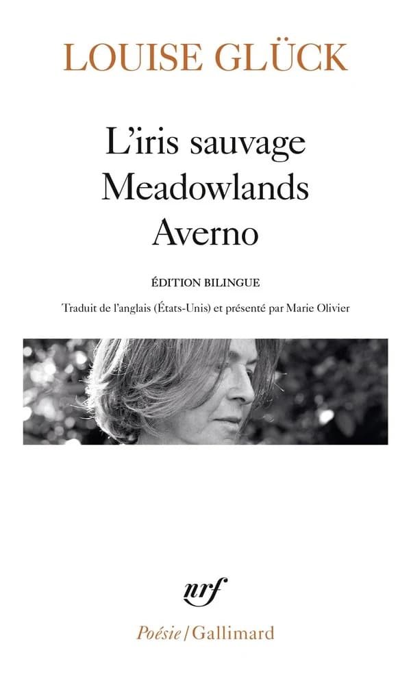 L'iris sauvage