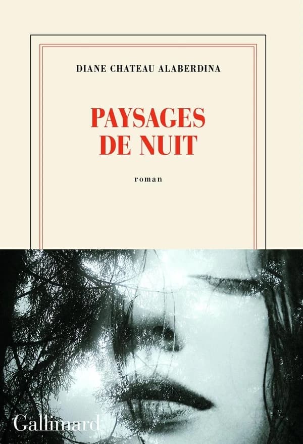 Paysages de nuit : roman