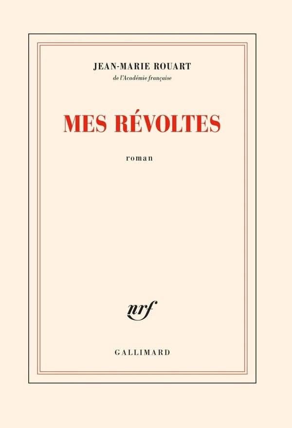 Mes révoltes : roman
