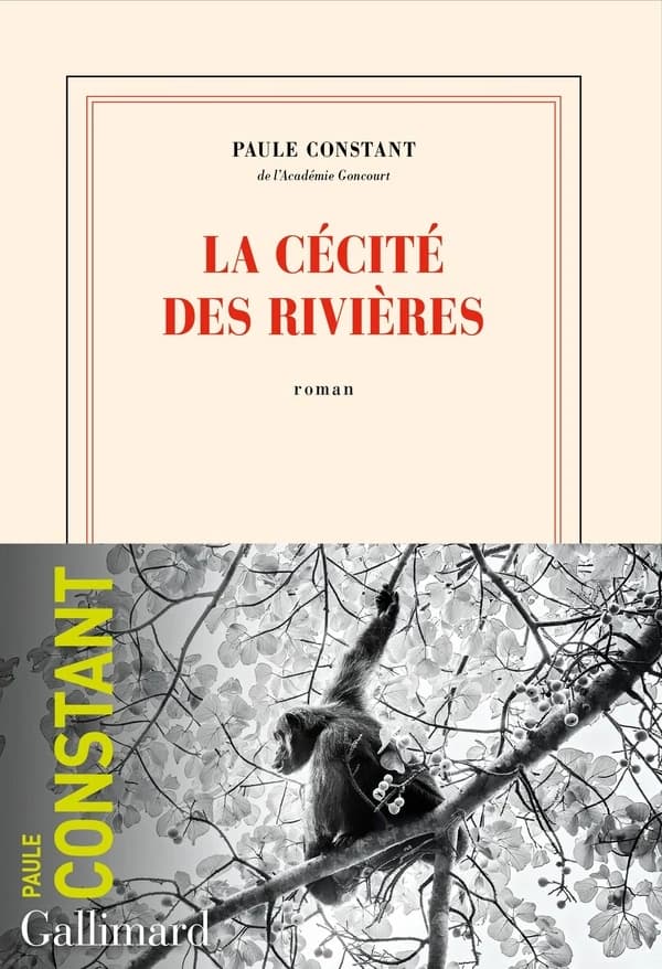 La cécité des rivières : roman