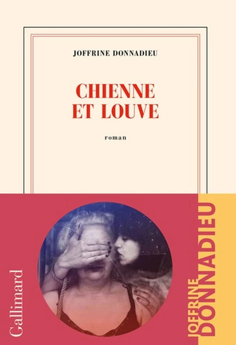 Chienne et louve : roman