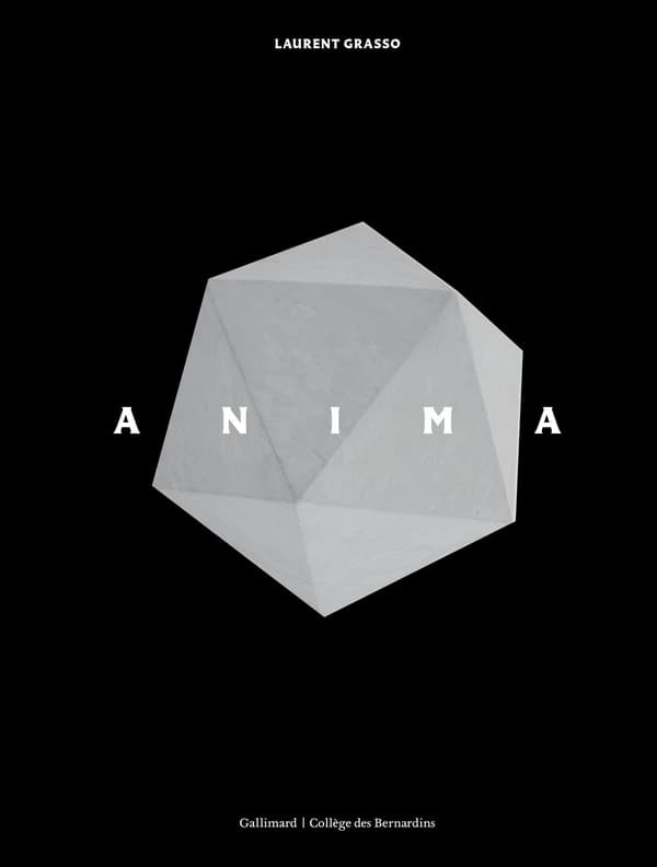 Anima, Laurent Grasso : [exposition, Paris, Collège des Bernardins, 14 octobre 2022-18 février 2023]