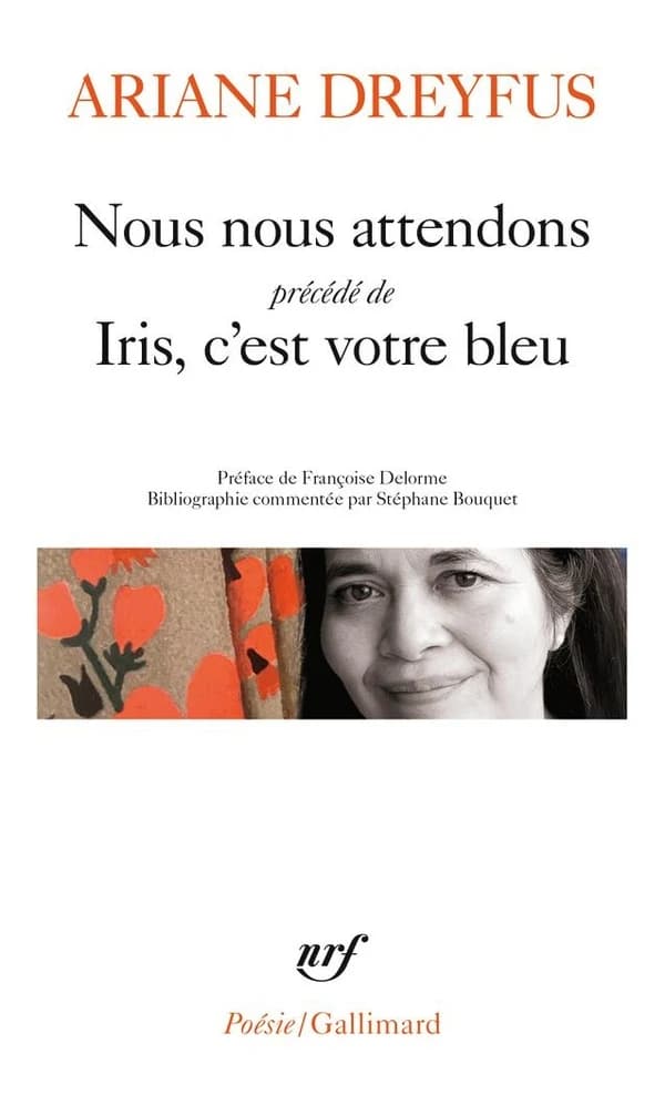 Nous nous attendons ; précédé de Iris, c'est votre bleu