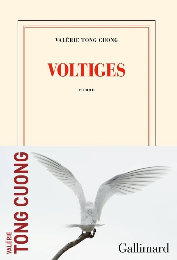 Voltiges : roman