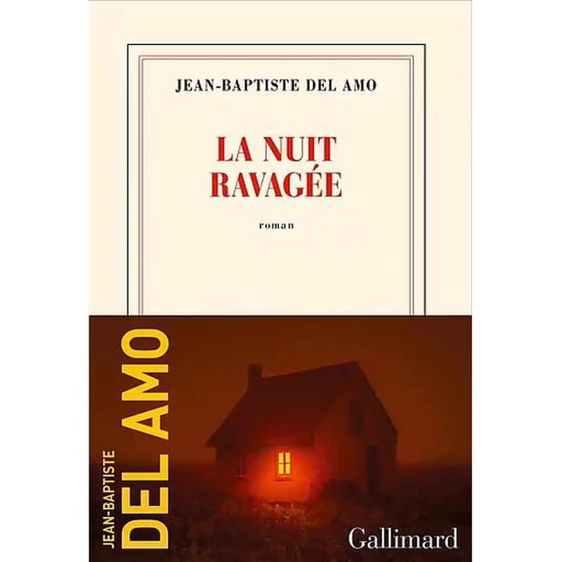 La nuit ravagée : roman
