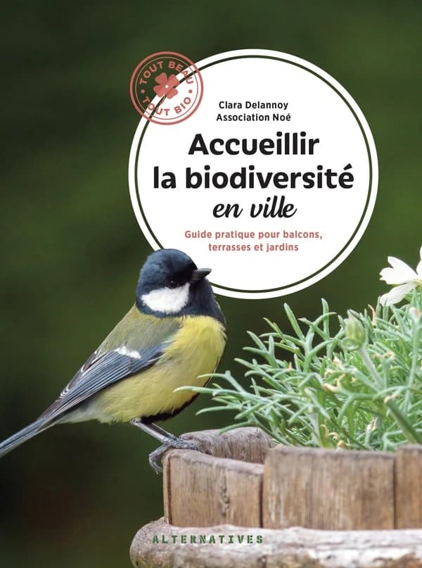 Accueillir la biodiversité en ville : guide pratique pour balcons, terrasses et jardins