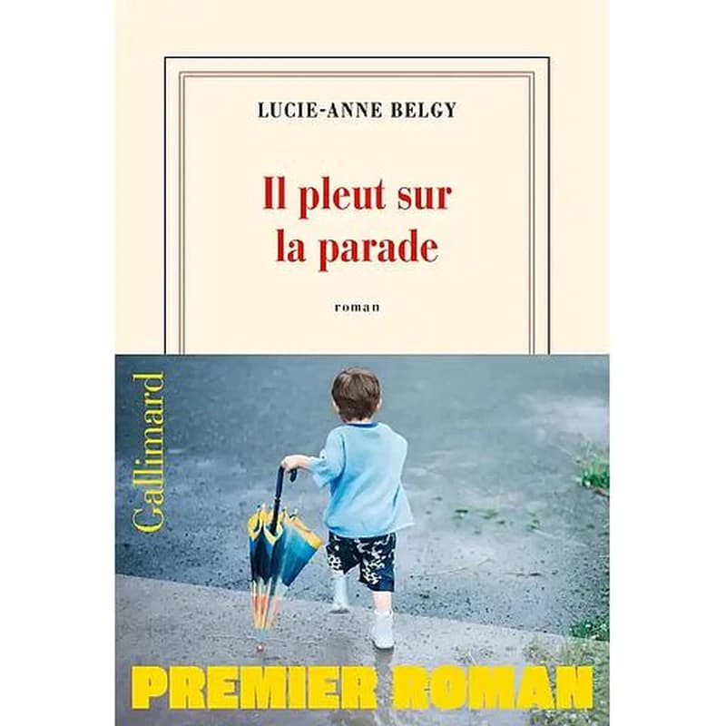 Il pleut sur la parade : roman
