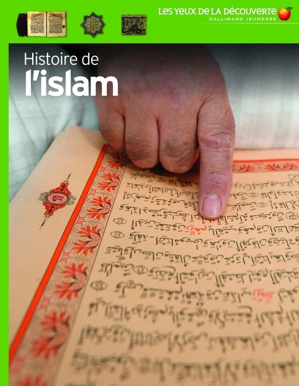 Histoire de l'islam (Nouvelle éd.) par Philip Wilkinson ; consultation éditoriale, Batul Salazar ; photographies de Steve Teague