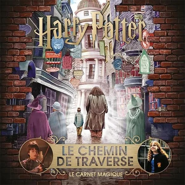 Harry Potter, Le chemin de traverse : le carnet magique