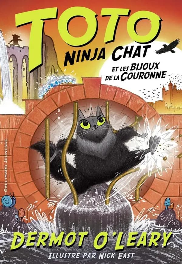 Toto ninja chat et les bijoux de la couronne