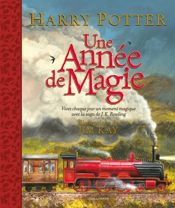 Harry Potter : une année de magie