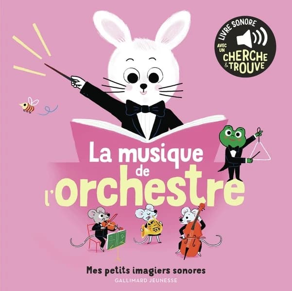 La musique de l'orchestre : Des sons à écouter, des images à regarder