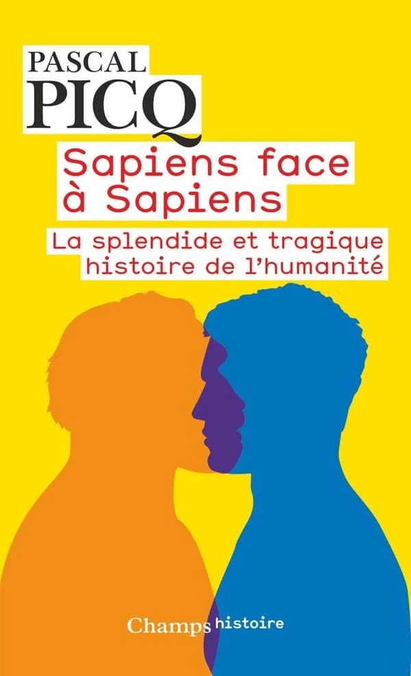 Sapiens face à Sapiens : La splendide et tragique histoire de l'humanité