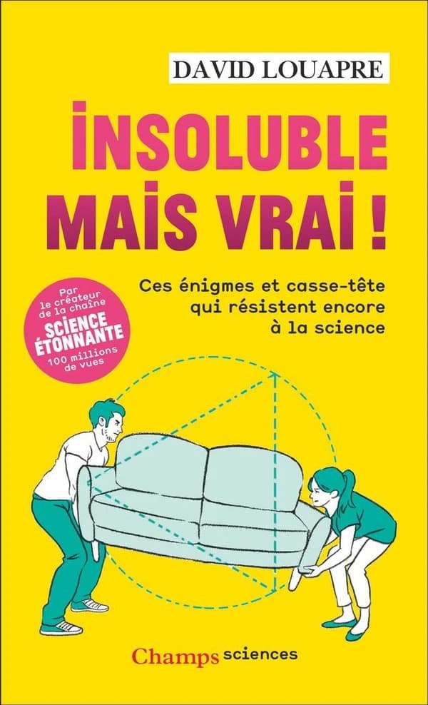 Insoluble mais vrai ! : Ces énigmes et casse-tête qui résistent encore à la science