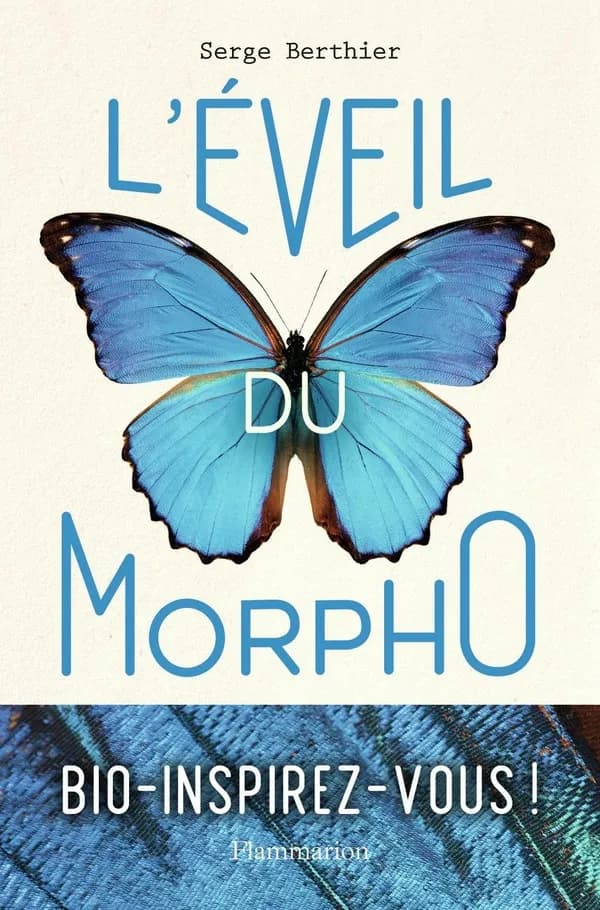 L'éveil du morpho
